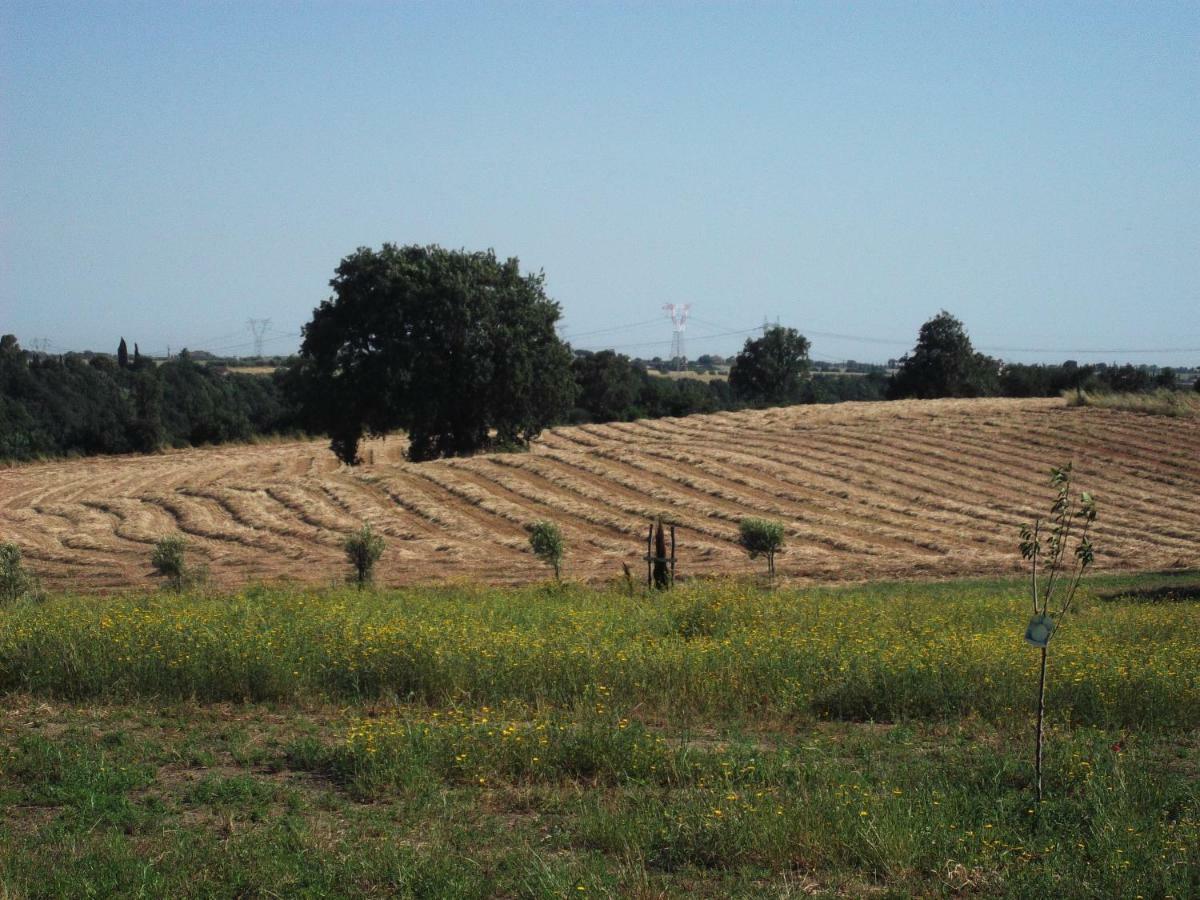 Poderi Di Tragliatella Exterior foto